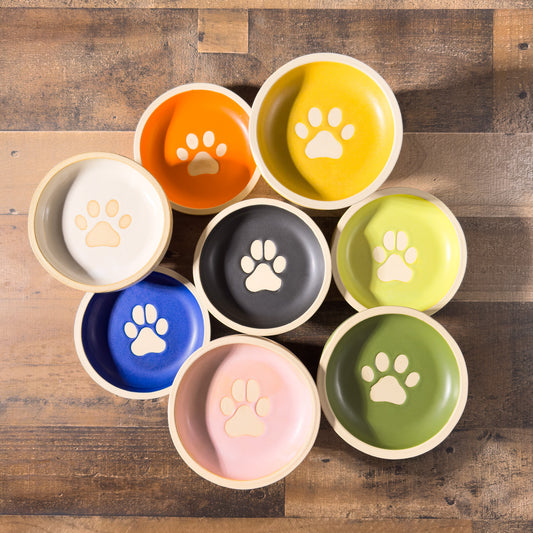 Introducing the Pet Bowl