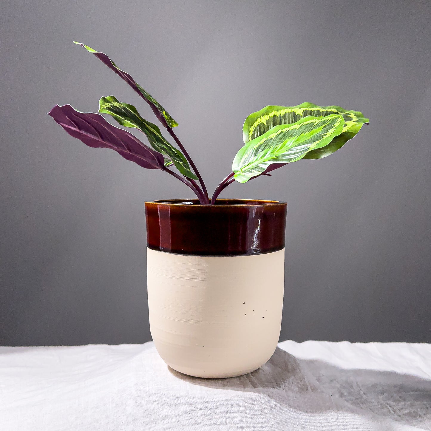 4" Planter