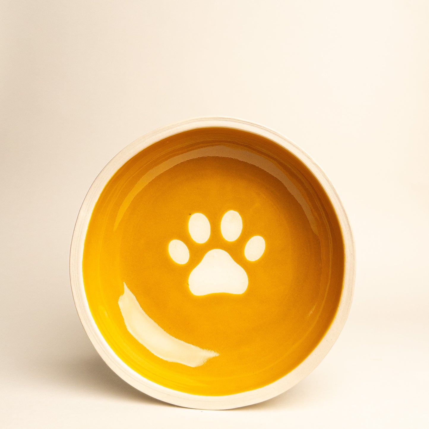 Everyday Pet Bowl