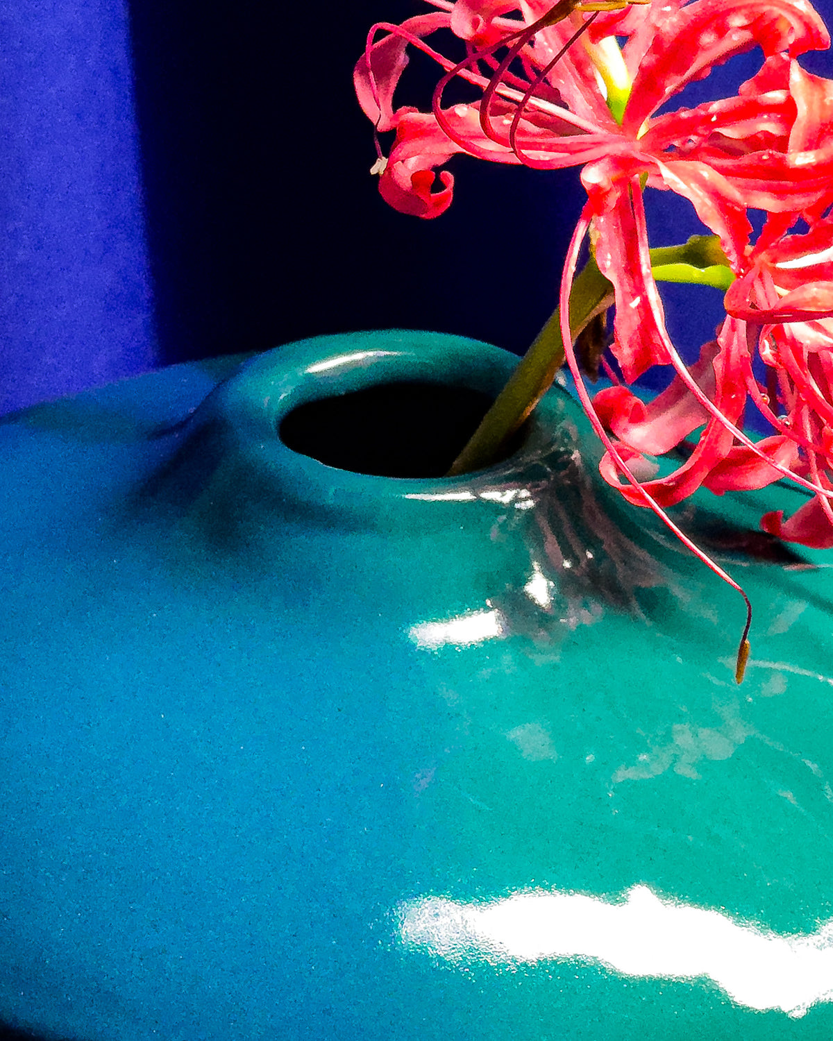 Cardo Vase