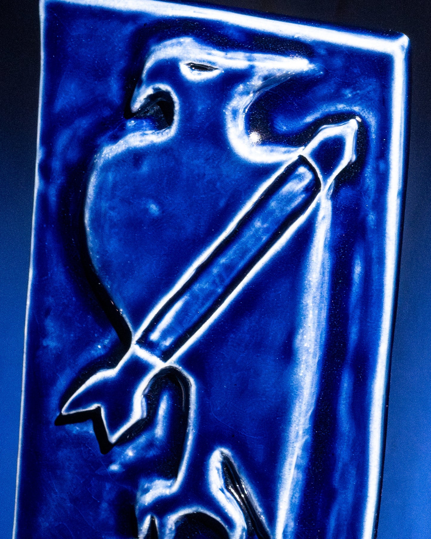 Persistence Hawk in Midnight
